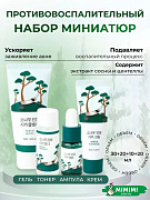 Набор миниатюр с экстрактом сосны Round Lab Pine Calming Cica Trial Kit